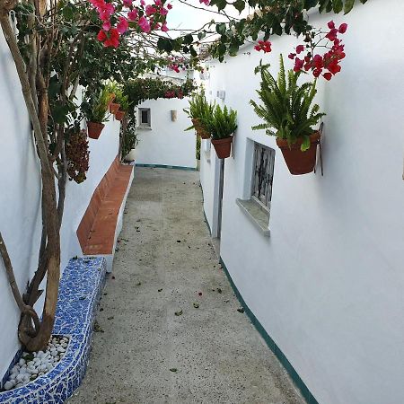 Apartamento La Chanca コニル・デ・ラ・フロンテラ エクステリア 写真